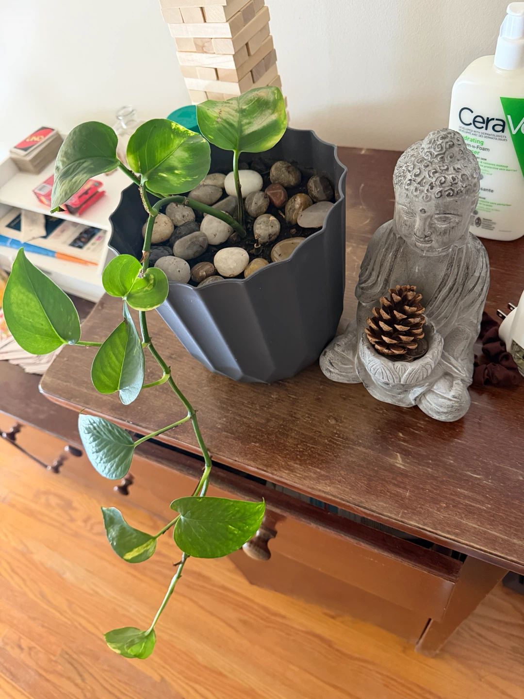 Pothos plant + Decorative pot