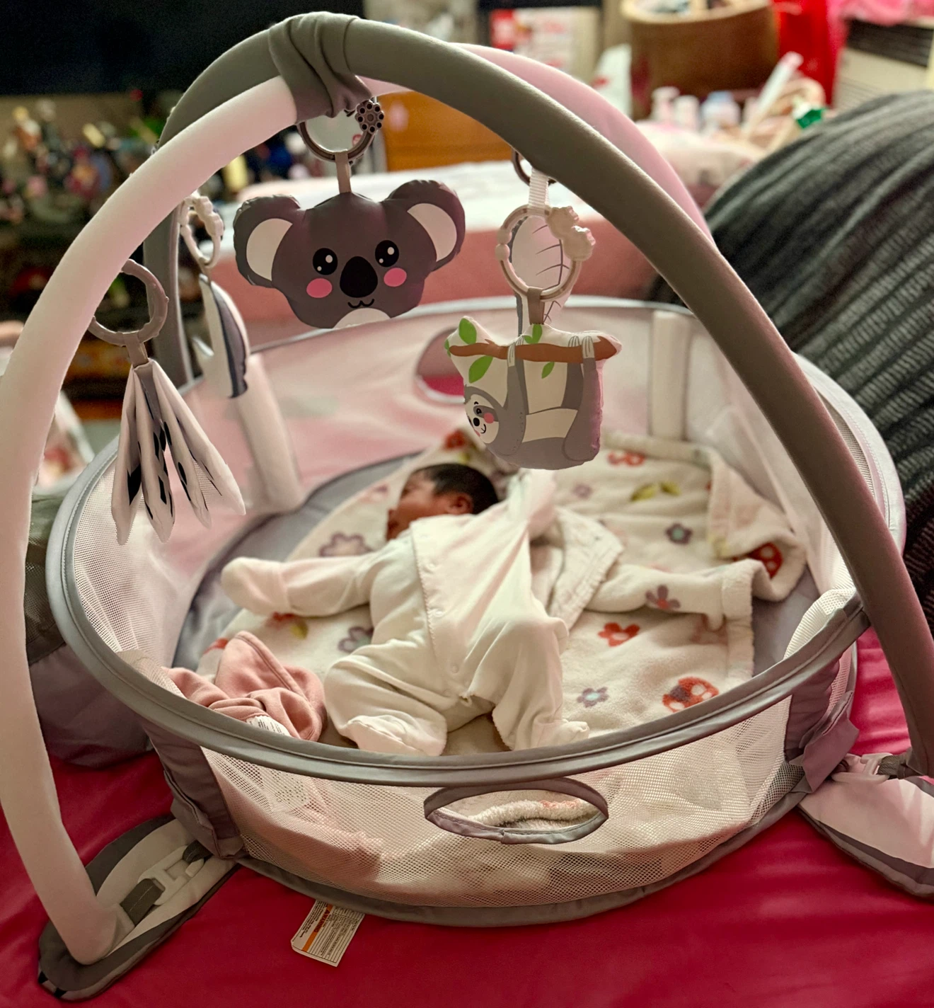 dearlomum Koala 4-in-1 Baby Play Mat Gym - photo 2