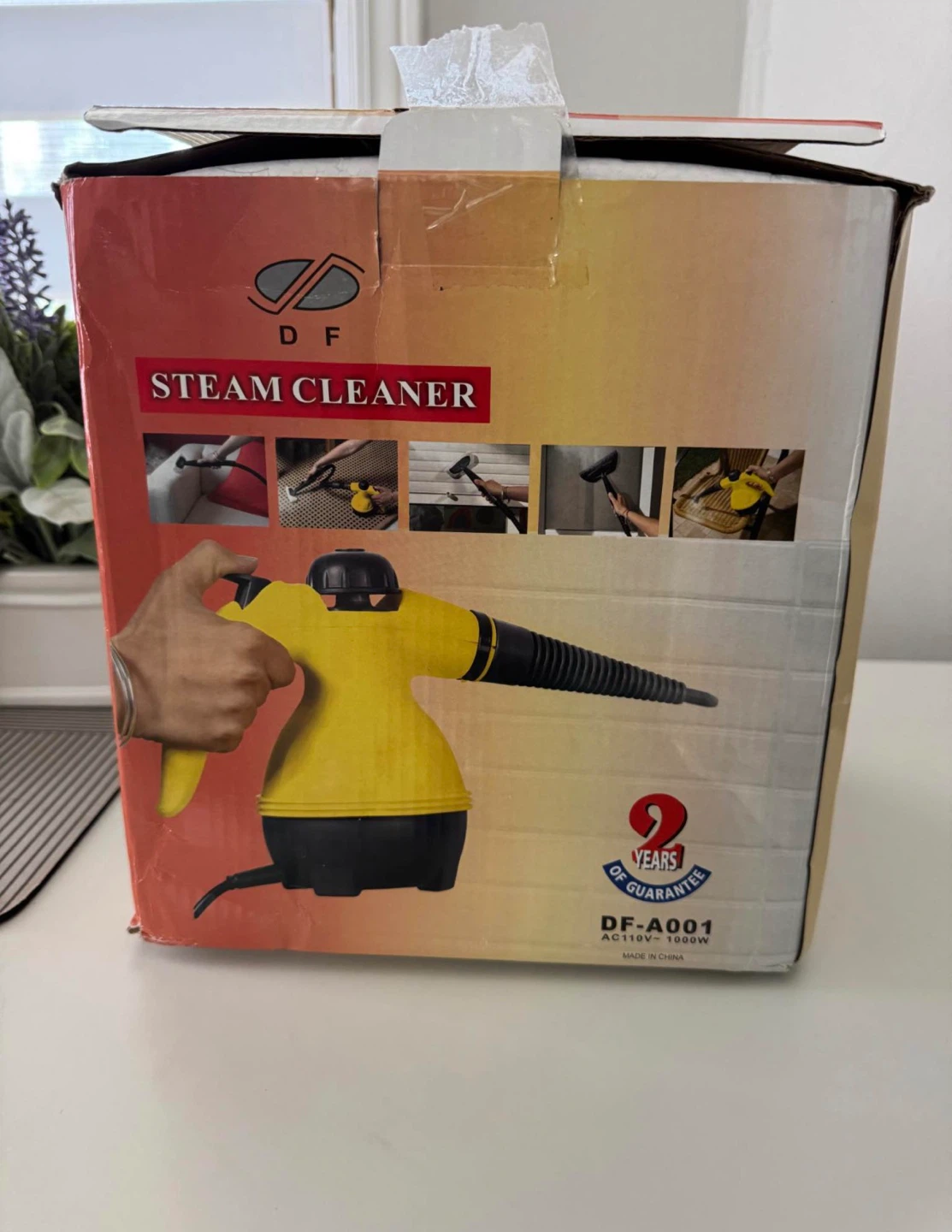 DF Steam Cleaner DF-A001