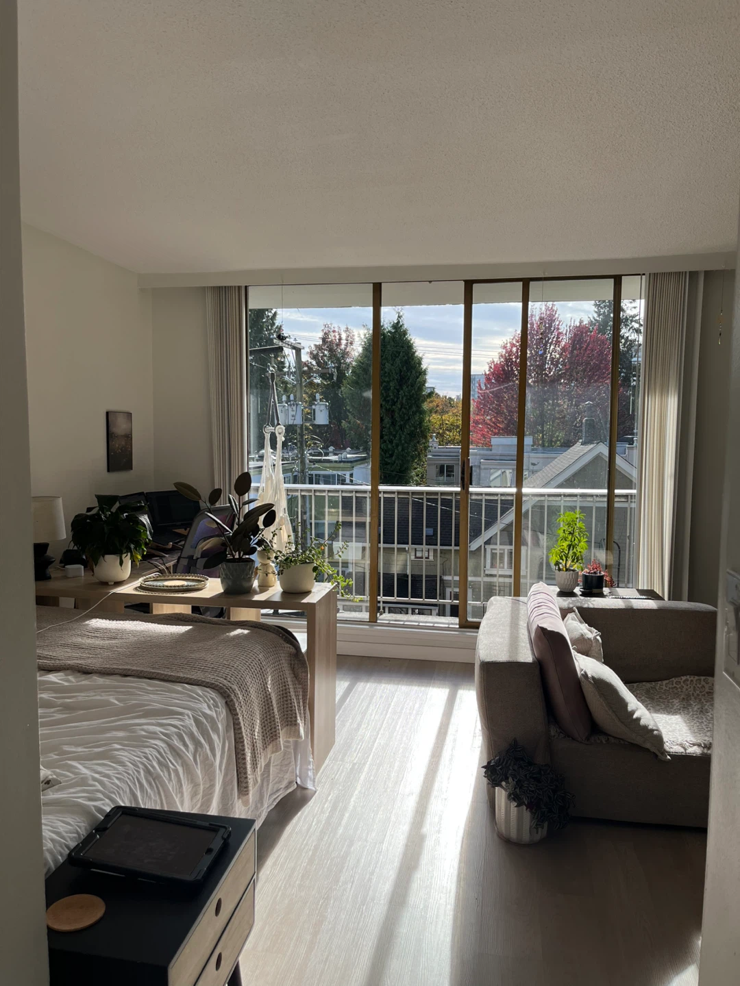 Lease takeover- studio pet friendly apartment