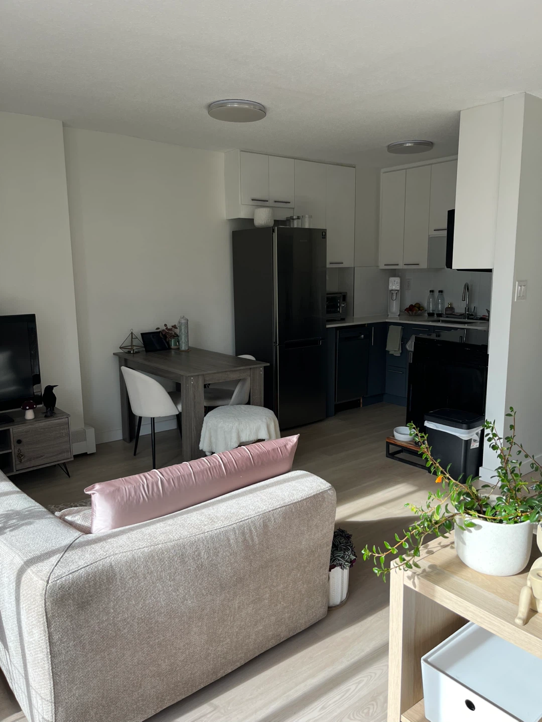 Lease takeover- studio pet friendly apartment - photo 2