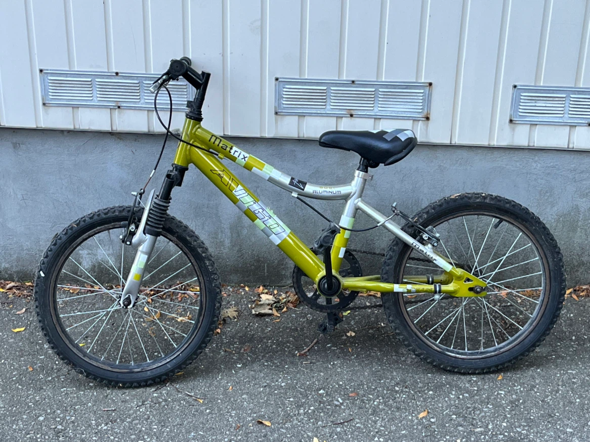 Avigo Matrix 20-inch Kids Mountain Bike