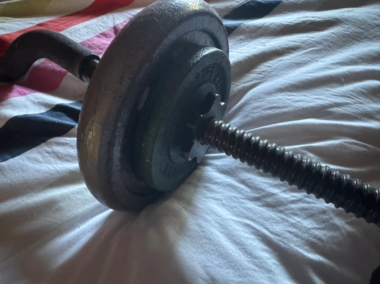 EZ Curl Bar - photo 2