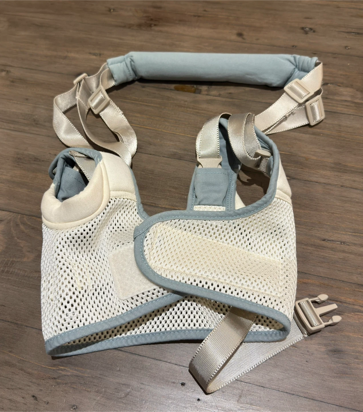 Baby walking assistant harness