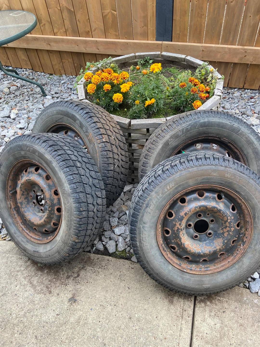 Set of 4 Total Terrain Winter Tires with VR Rims