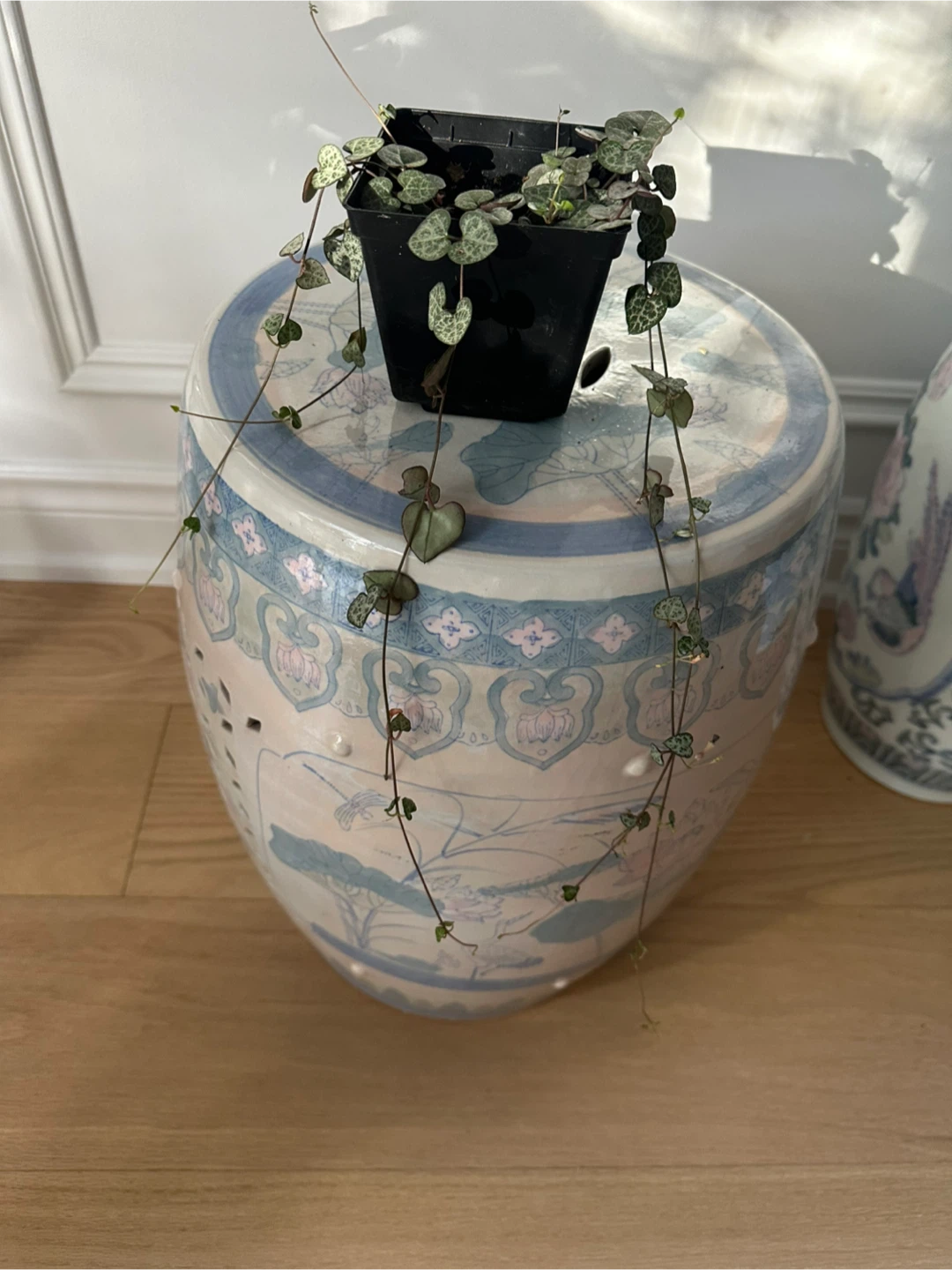 Indoor Plants for Sale (Pothos, Hoya, Triostar, String of Hearts - photo 4