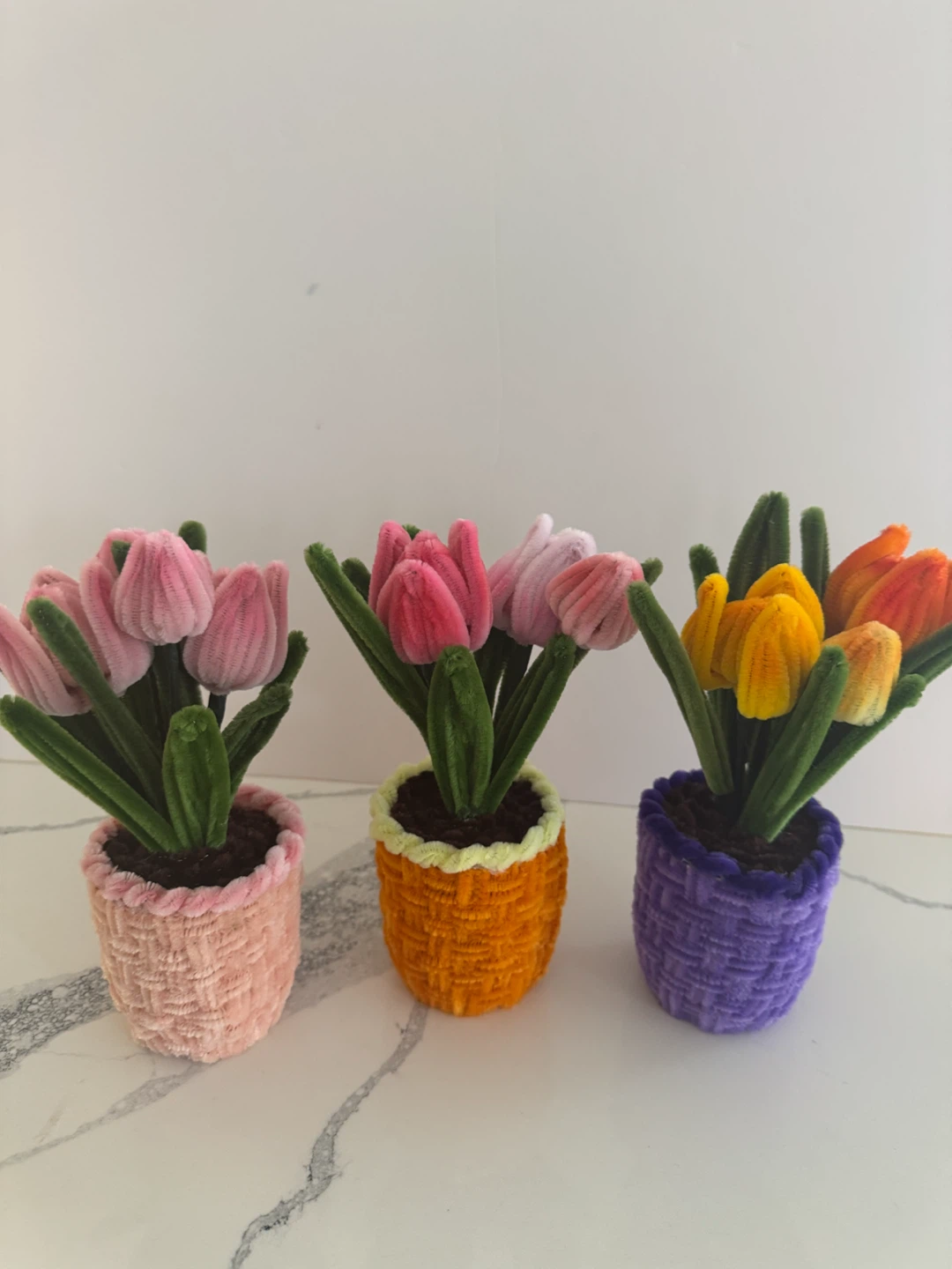 Handmade Pipe Cleaner Flower Pots