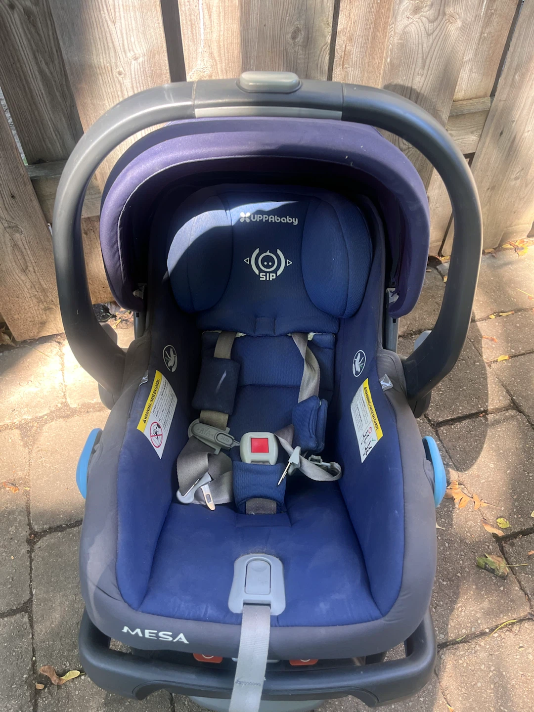 UPPAbaby Mesa Infant Car Seat