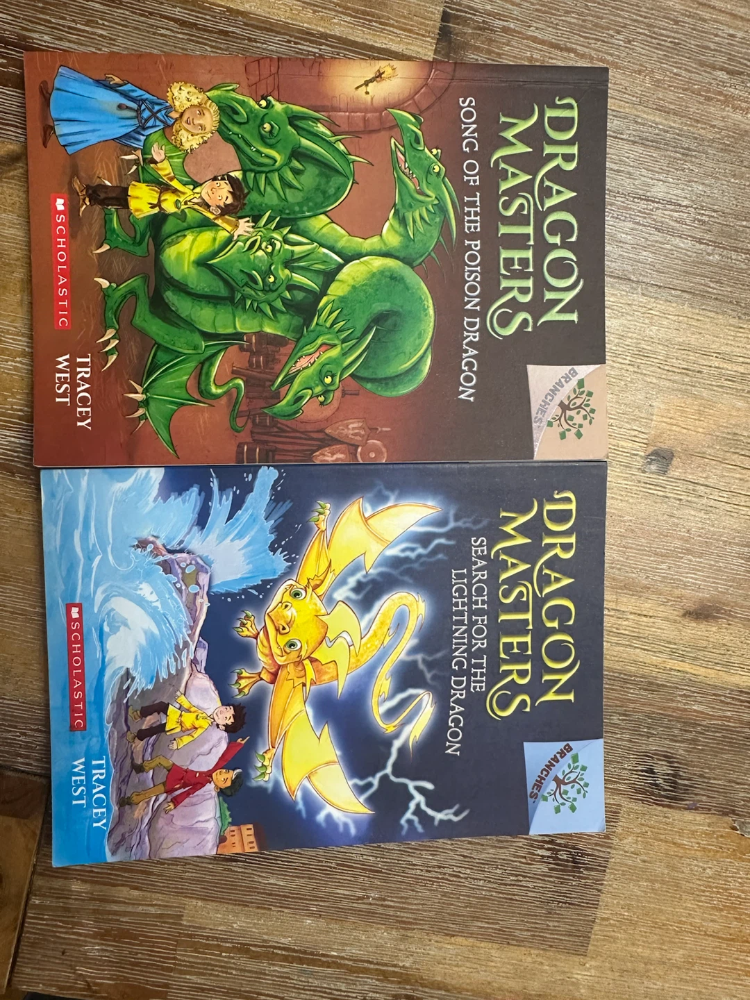 2 Dragon Masters Books by Tracey West