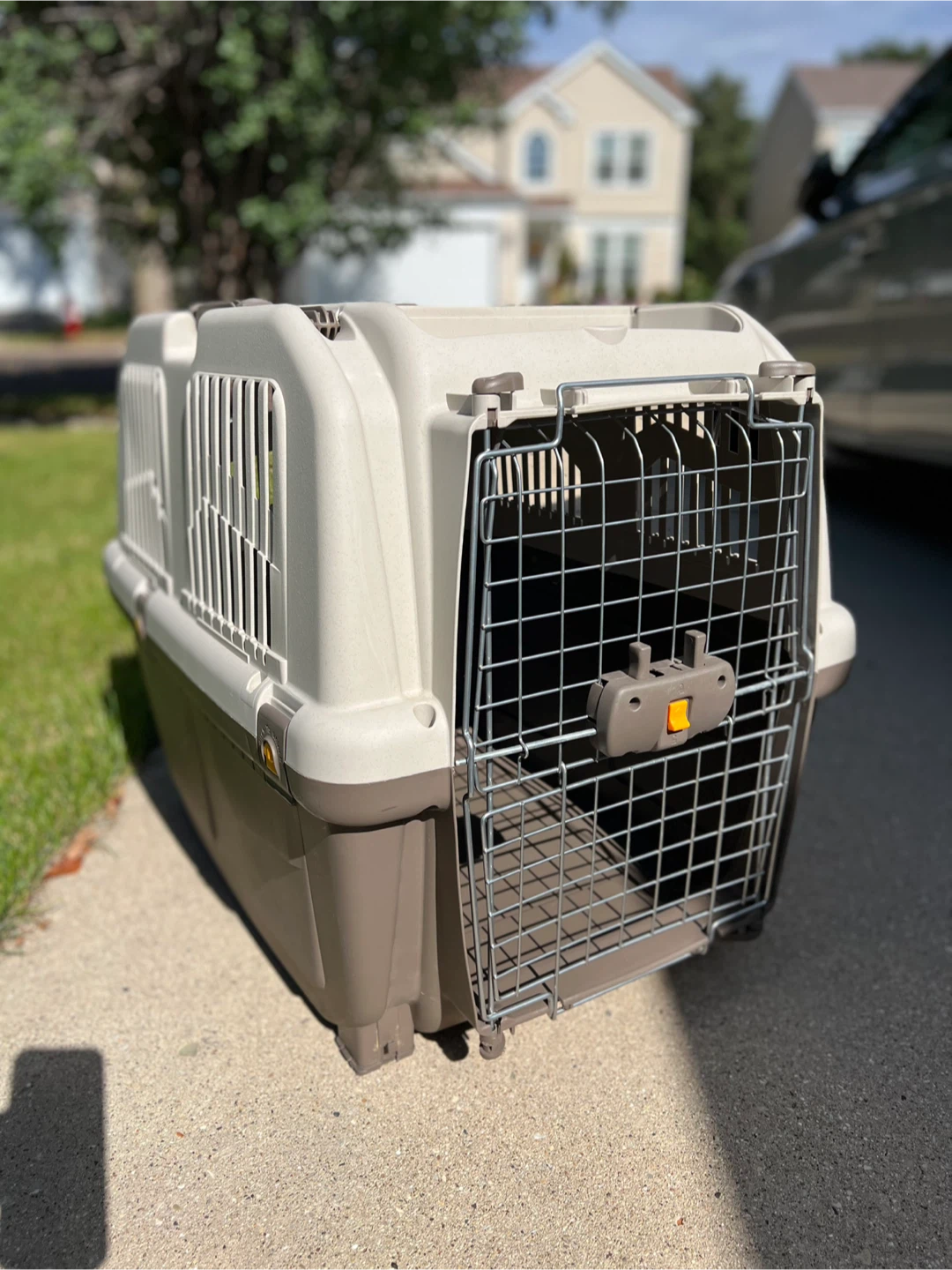 KONG Portable Pet Carrier