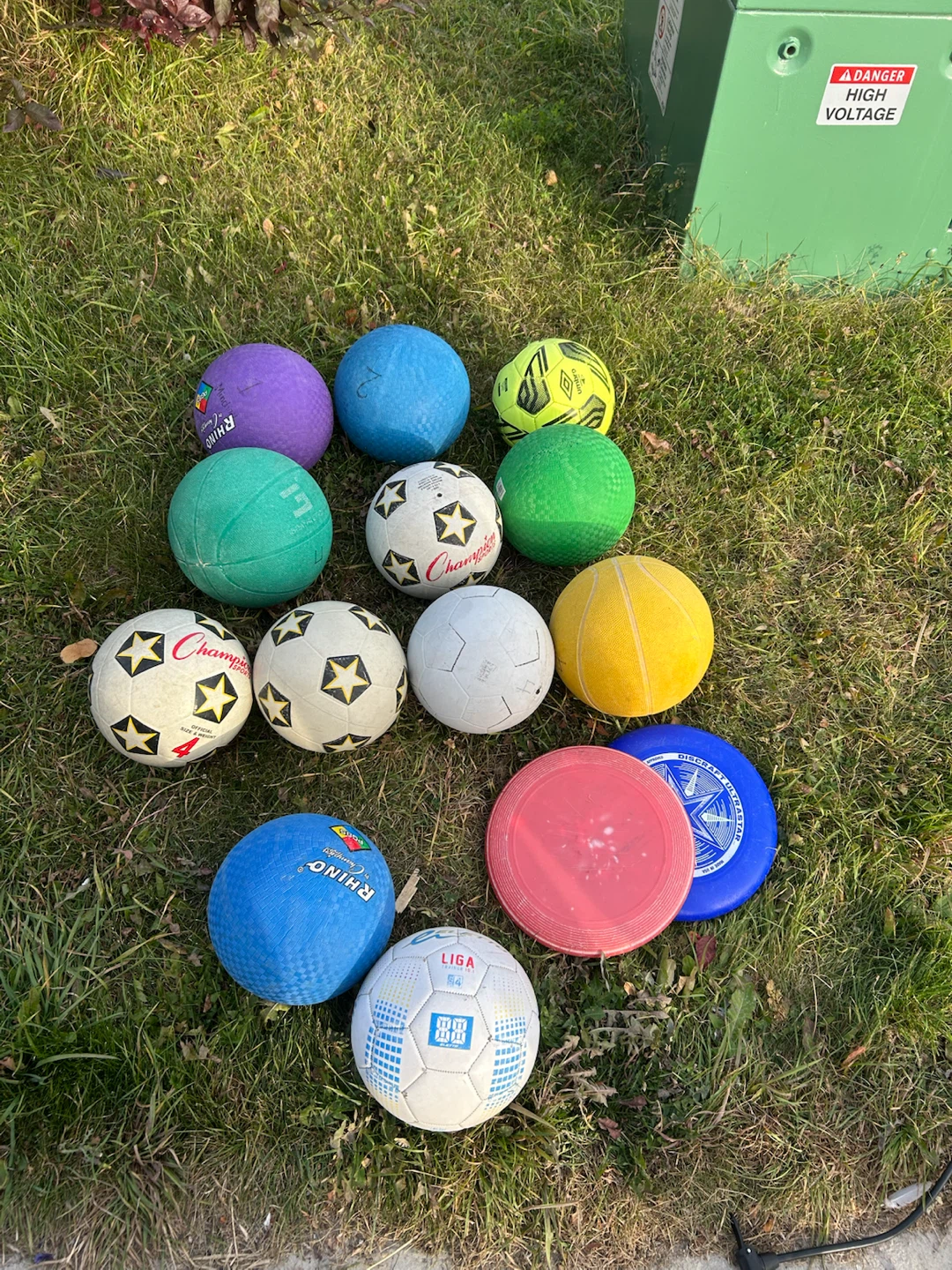 Assorted sports balls and frisbees bundle