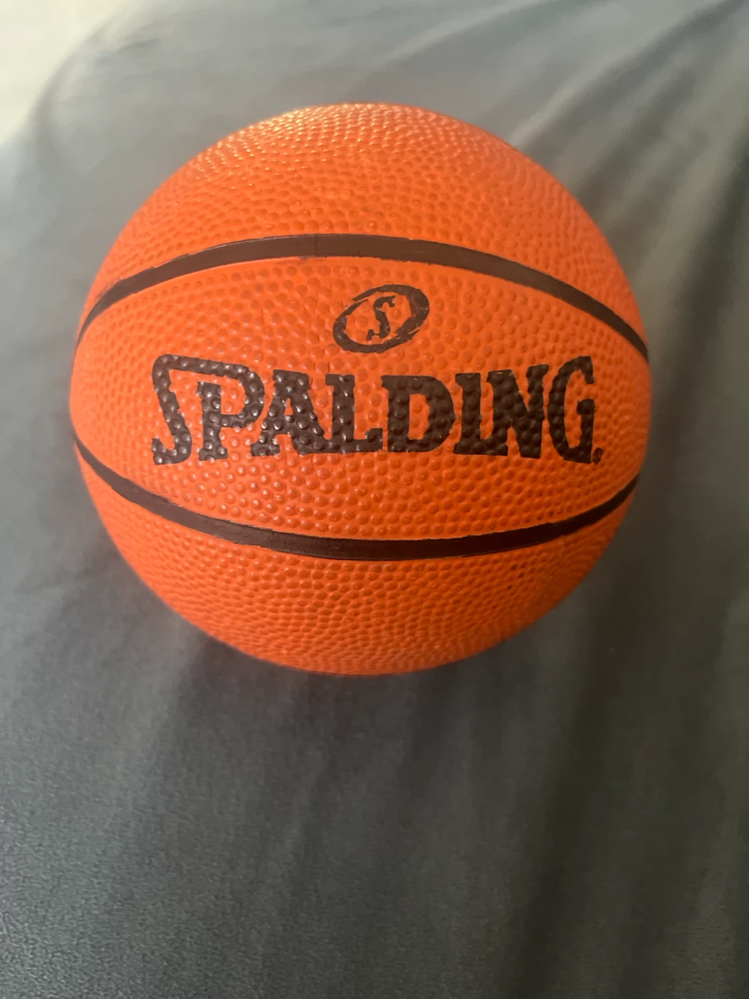 Spalding Mini Basketball