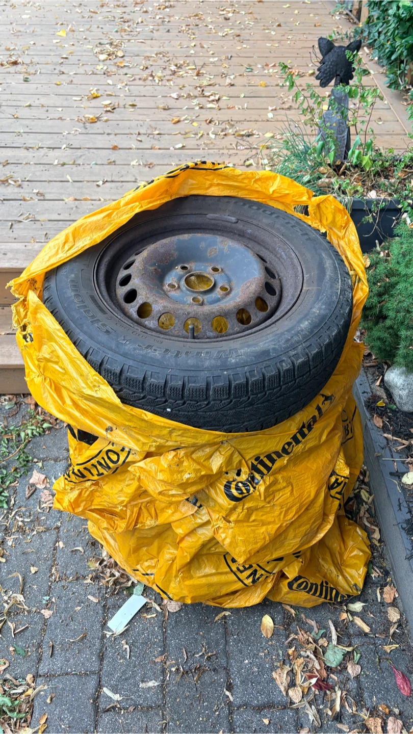 4 Winter Slalom Tire 195/65R15