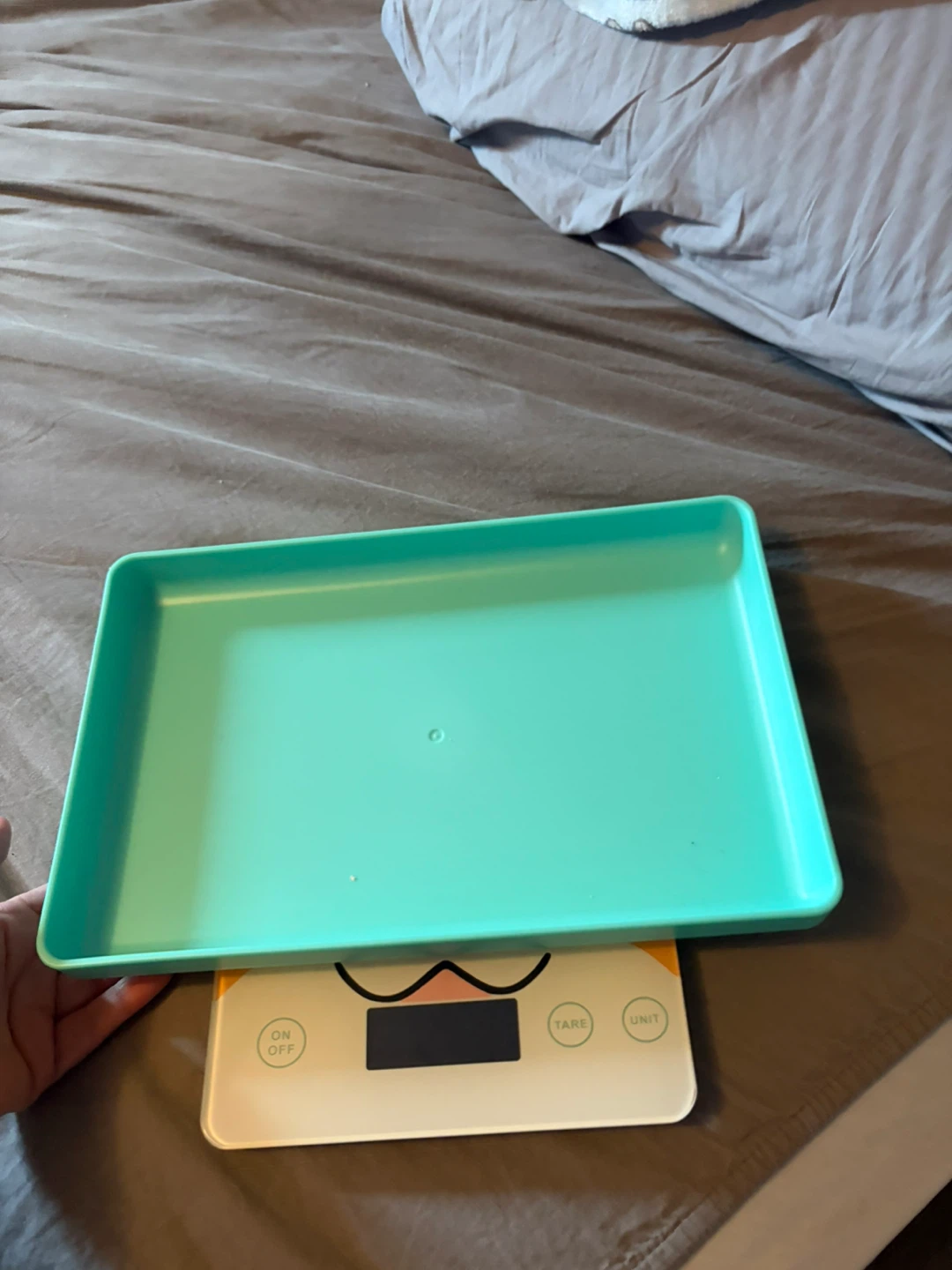 Pets weight