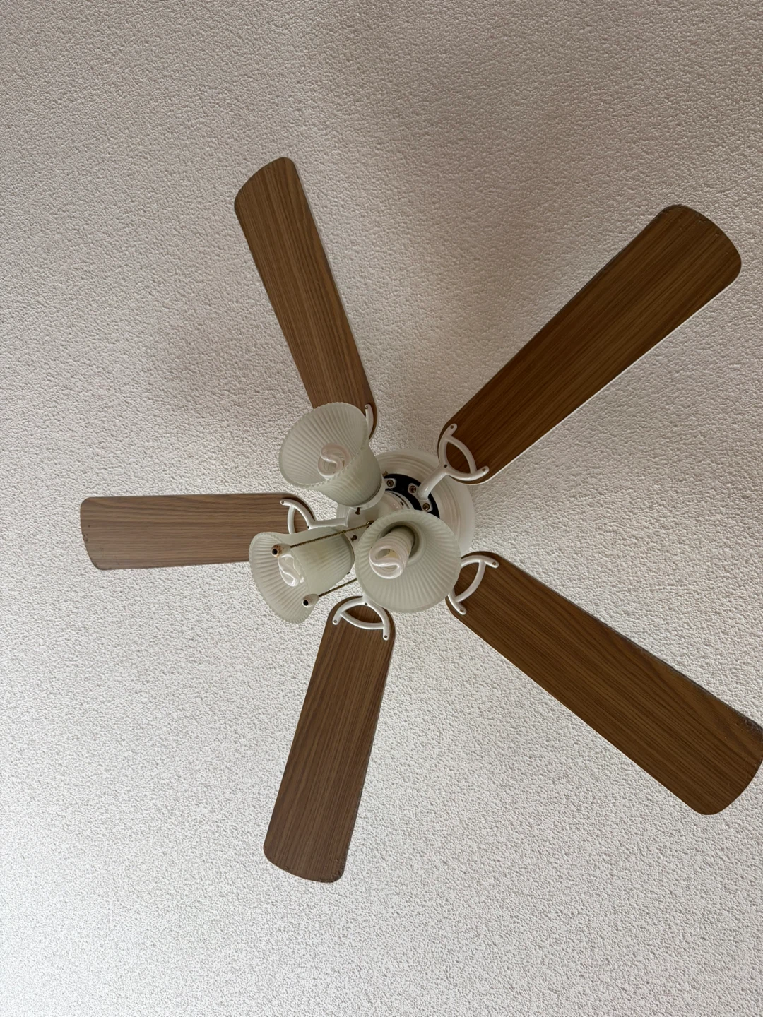 Ceiling fan