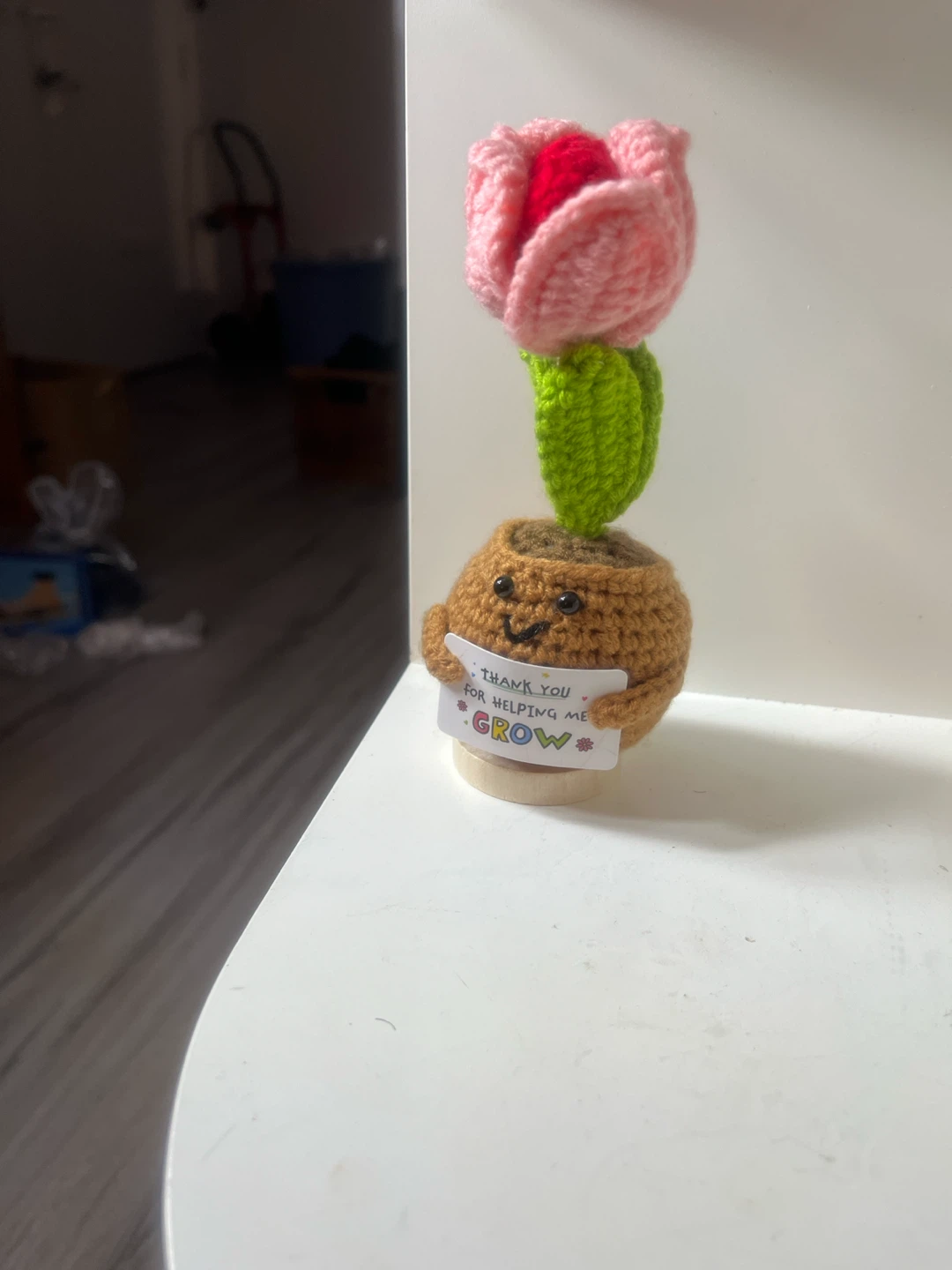 Goseby Crochet Flower Gift