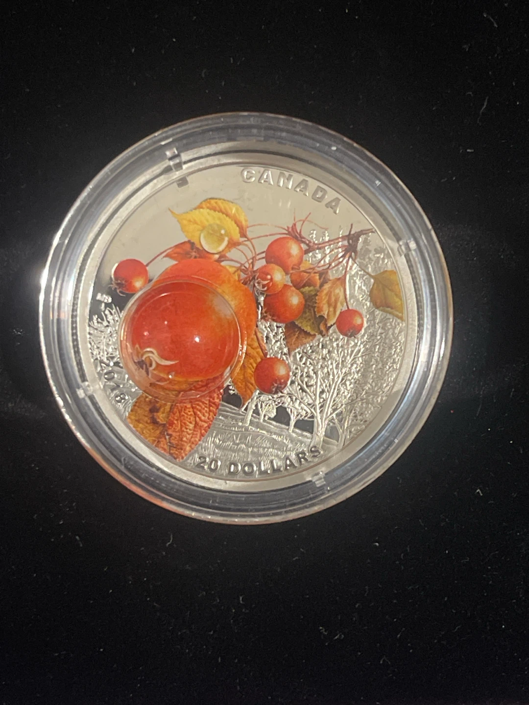 2018 $20 Fine Silver Coin - MNM: Morning Dew