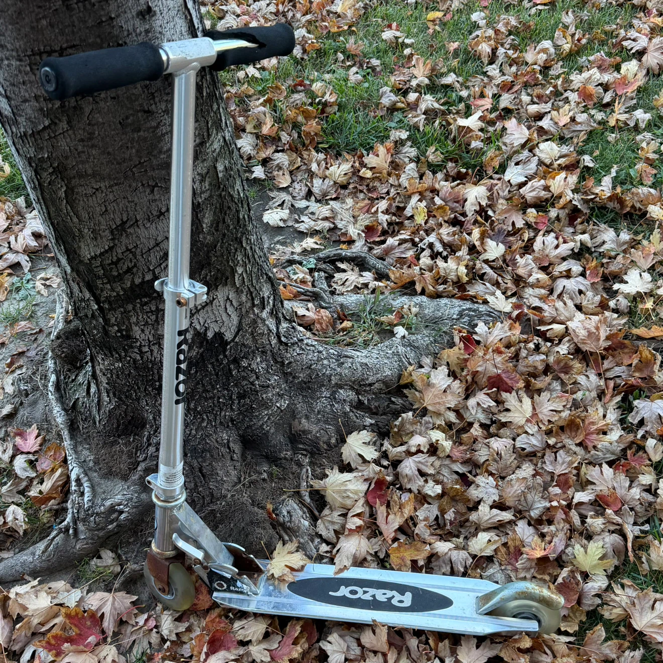Razor kick scooter