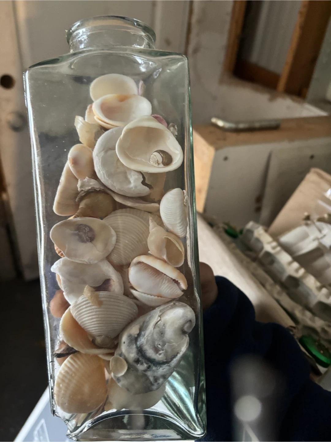 Glass Bottle Filled with Seashells