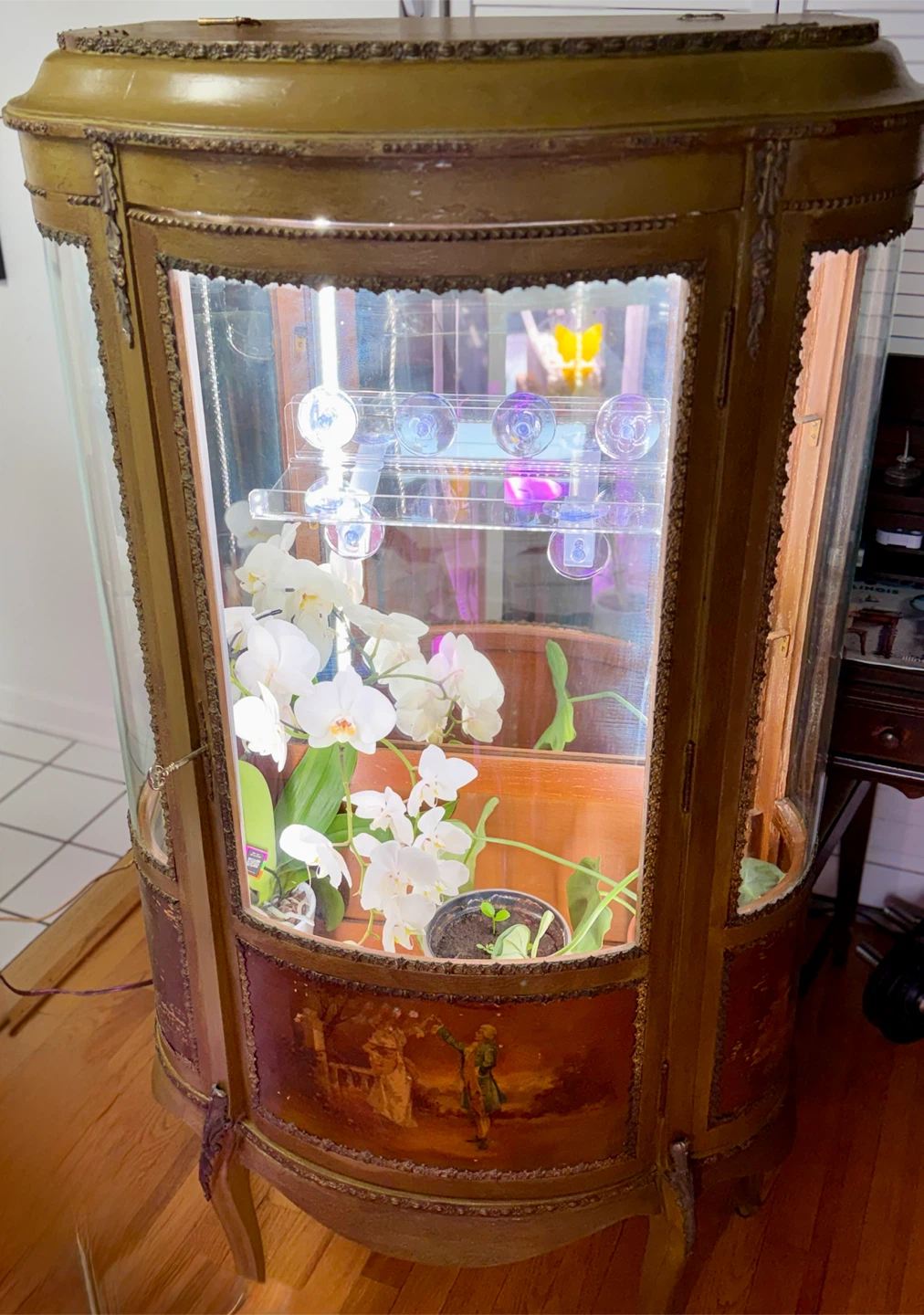 Antique French Style Curved Glass Curio Cabinet - photo 2