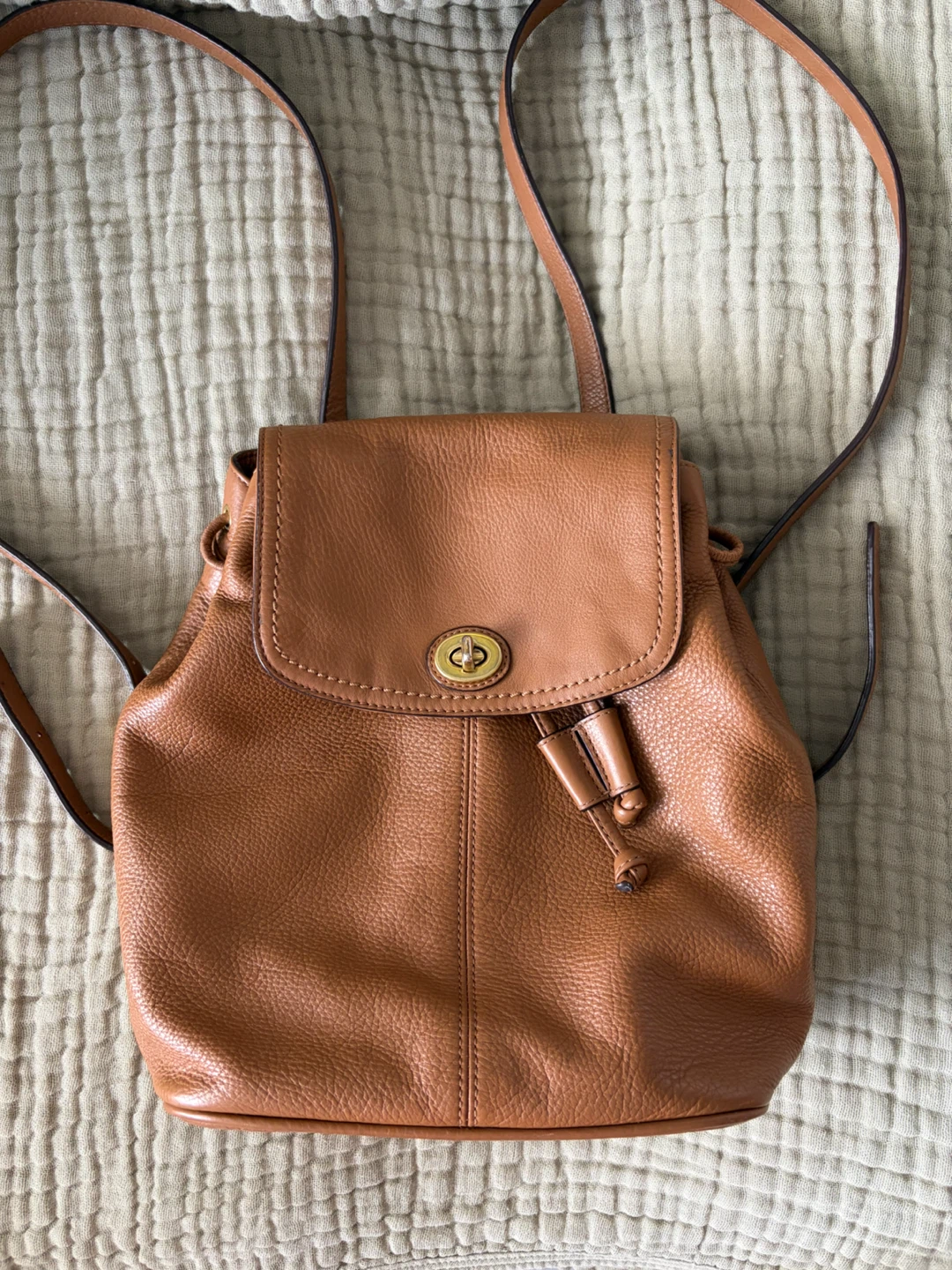 Vintage Coach Pebbled Leather Backpack with Brass Hardware