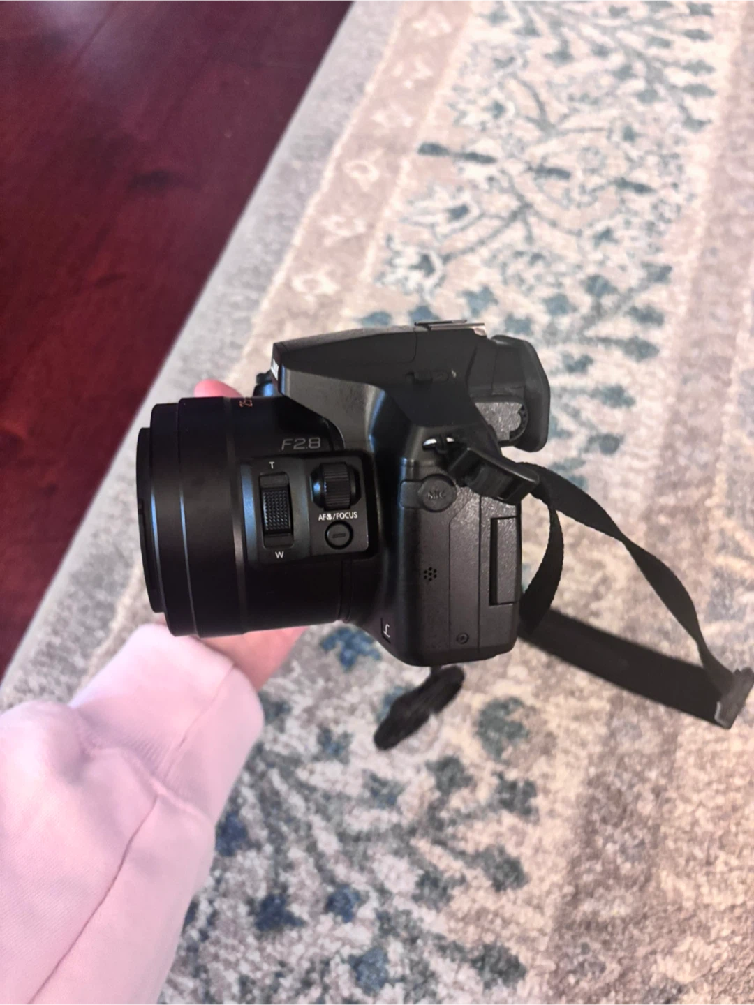 Panasonic Lumix FZ300 Digital Camera - photo 2
