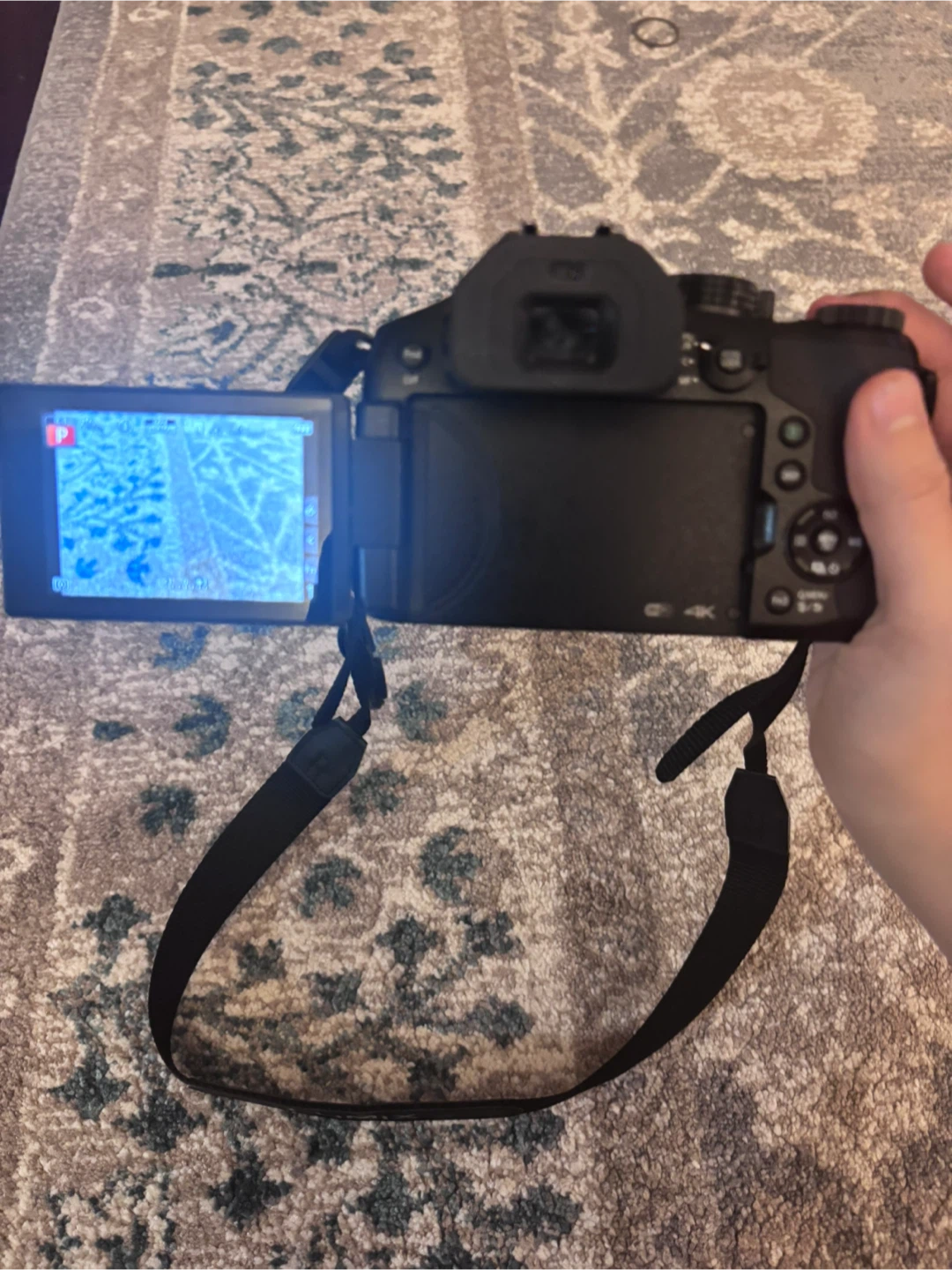 Panasonic Lumix FZ300 Digital Camera - photo 4