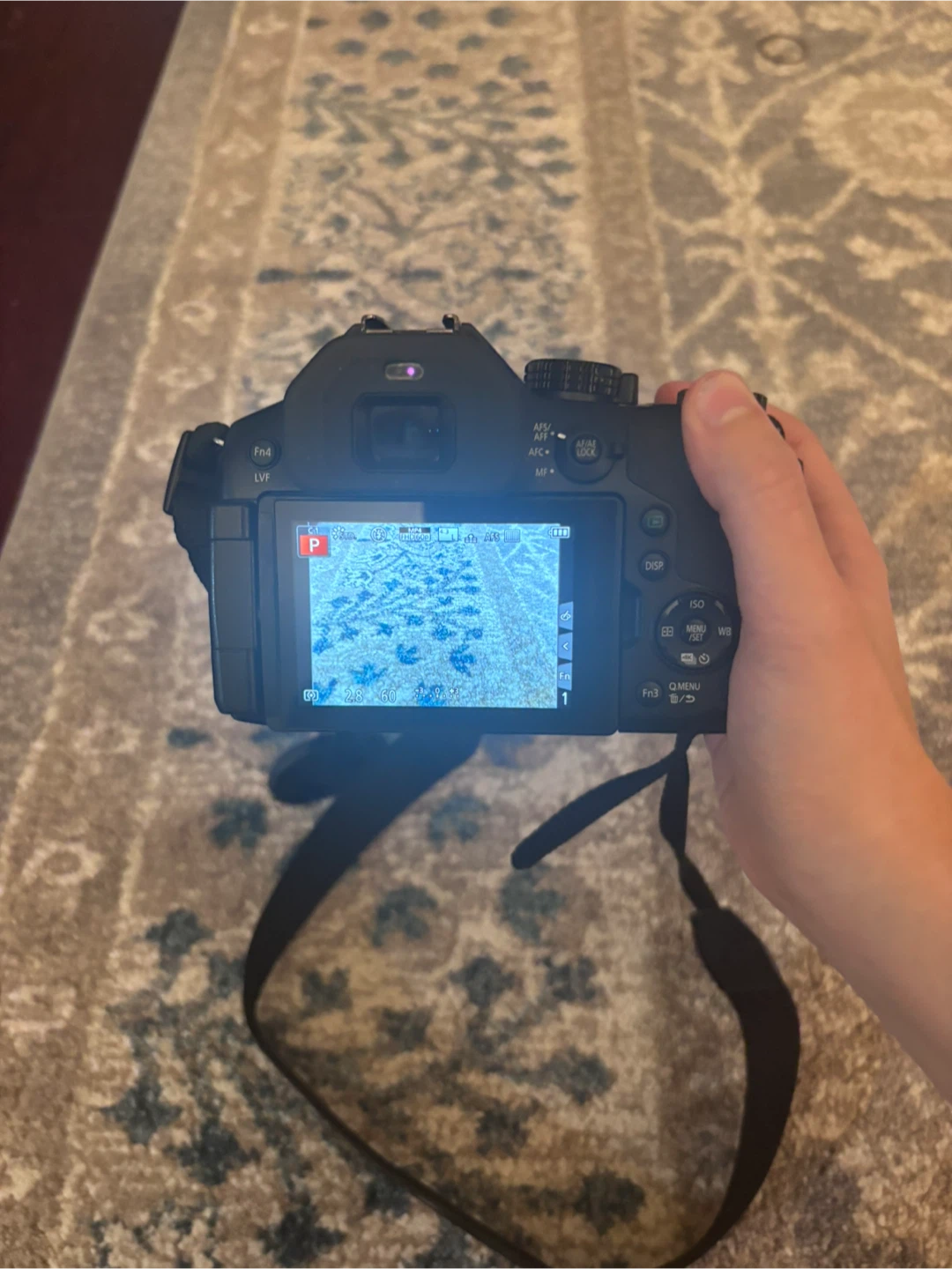 Panasonic Lumix FZ300 Digital Camera - photo 5