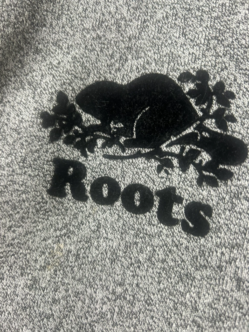 Roots Grey Full-Zip Hoodie - photo 3