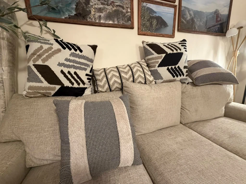 Set of Decorative Throw Pillows