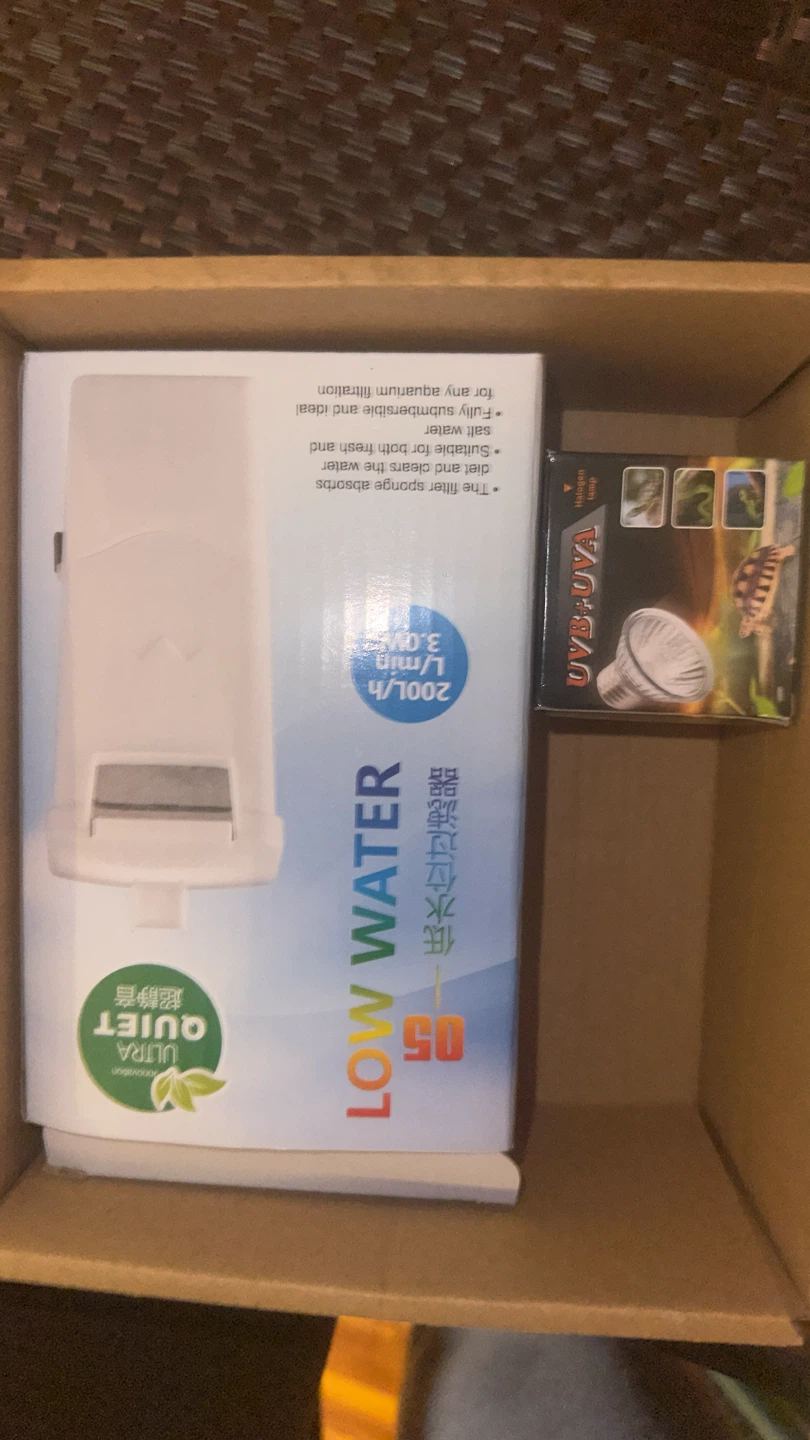 Low Water Filter and UVB+UVA Halogen Lamp