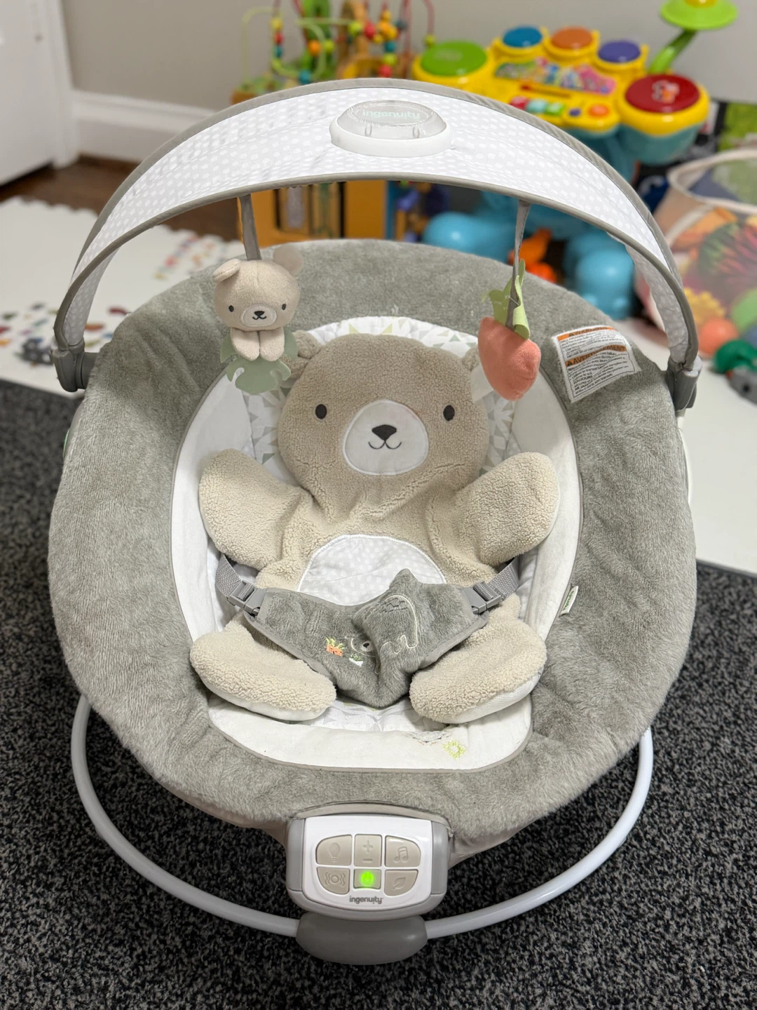 Ingenuity Baby Bouncer