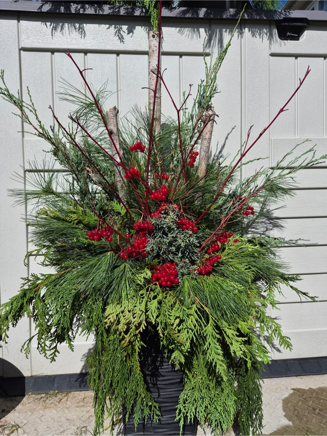 Fresh Evergreen Holiday Hanging Basket