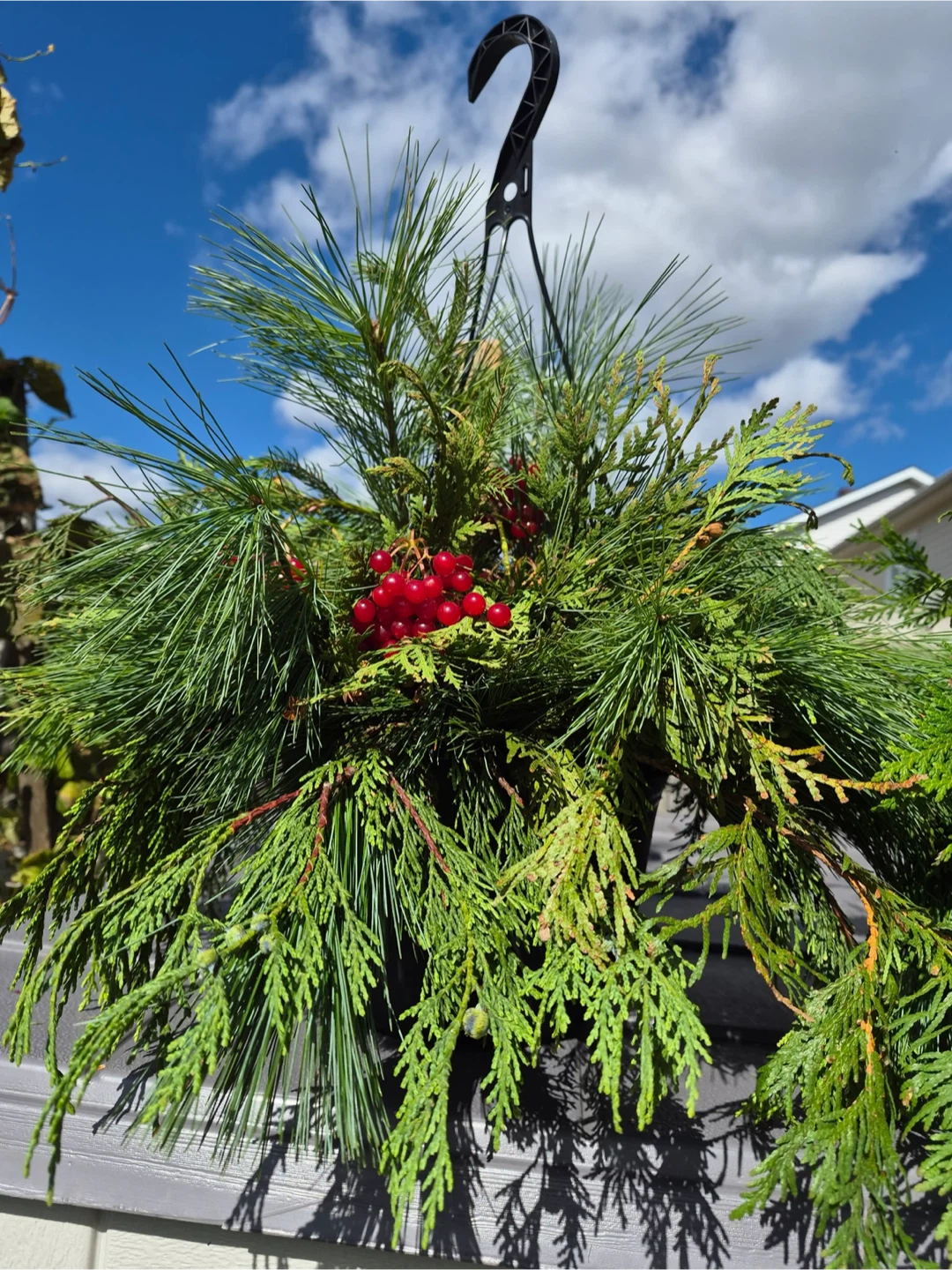 Fresh Evergreen Holiday Hanging Basket - photo 2