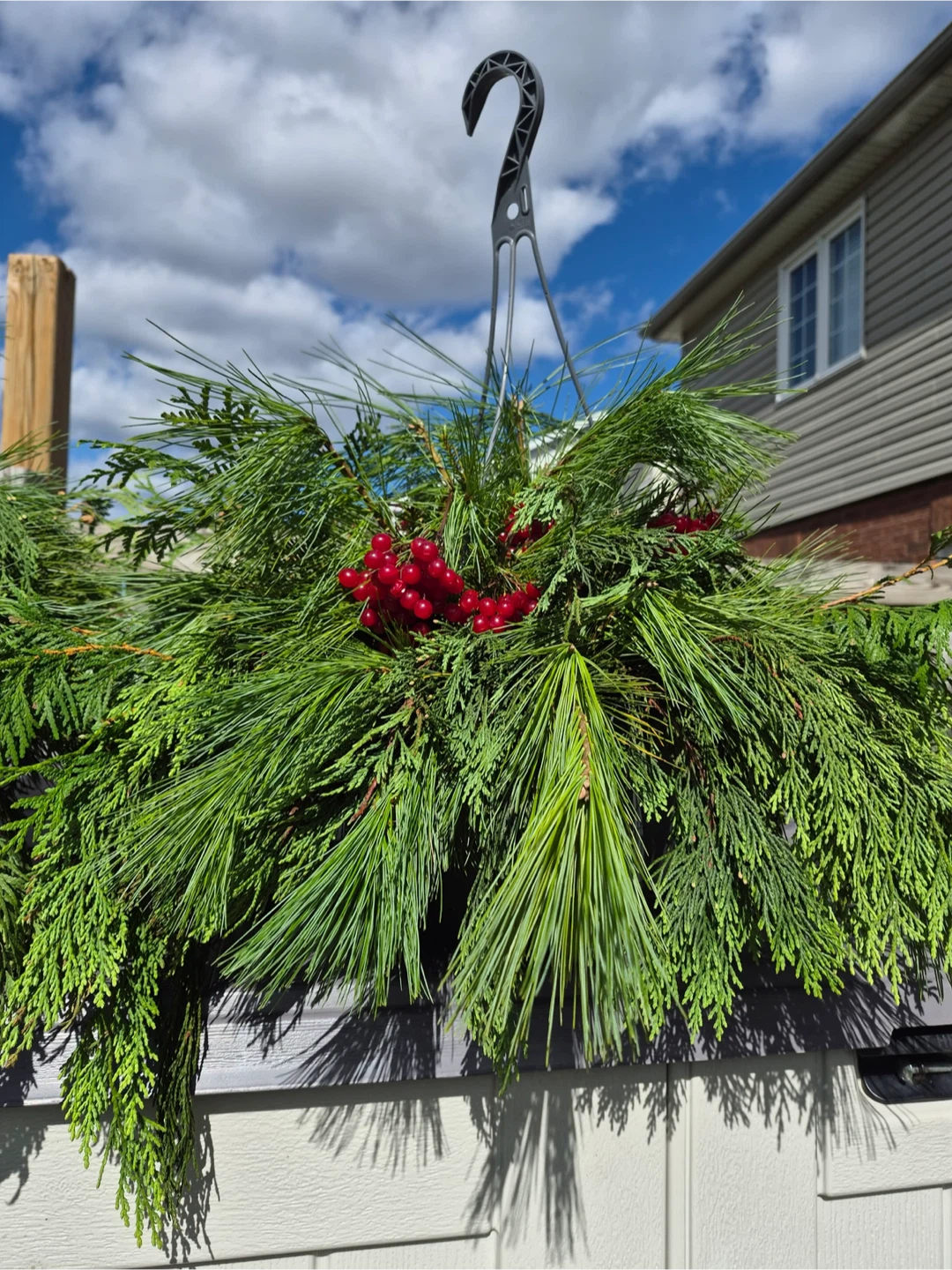 Fresh Evergreen Holiday Hanging Basket - photo 3