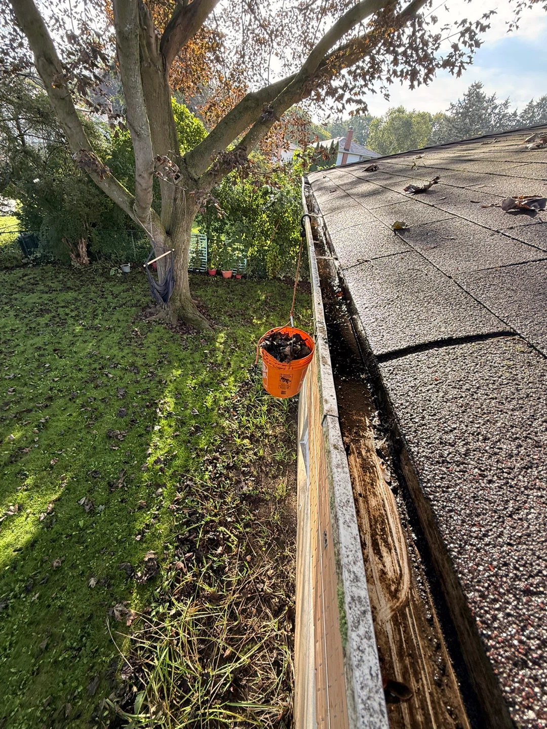Gutter Cleaning