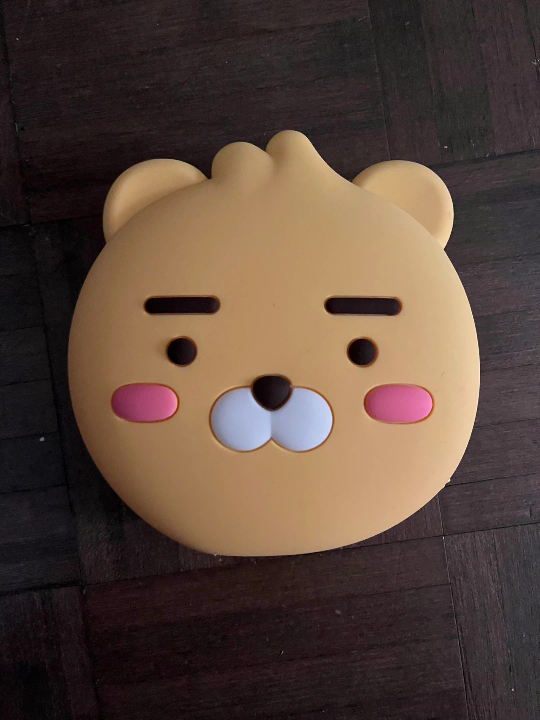 Kakao Friends Ryan Silicone Zipper Case