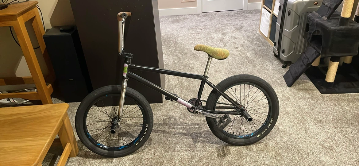 Fiend morrow v4 custom bmx