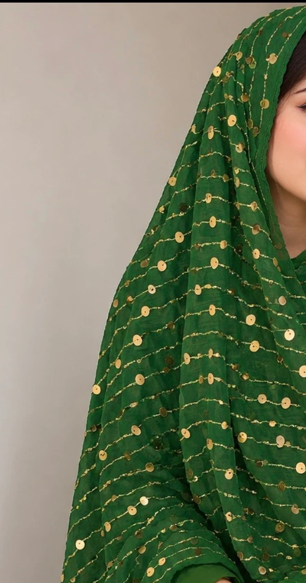 Embroidered Velvet Dress & green sequin headscarf - photo 2
