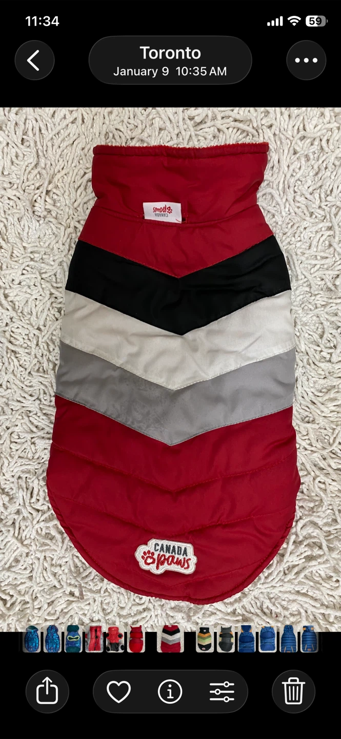 Dog Winter Jacket (Size 12)