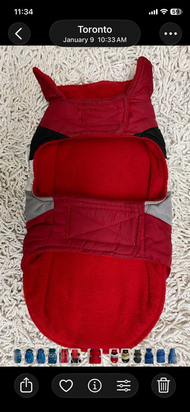 Dog Winter Jacket (Size 12) - photo 2