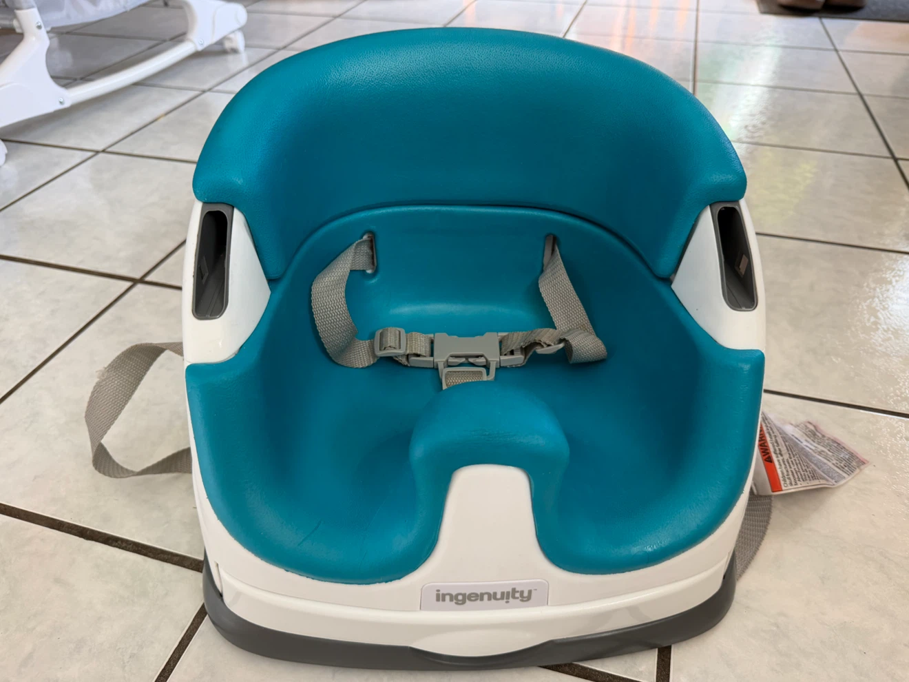 Ingenuity Baby Floor Seat and Booster