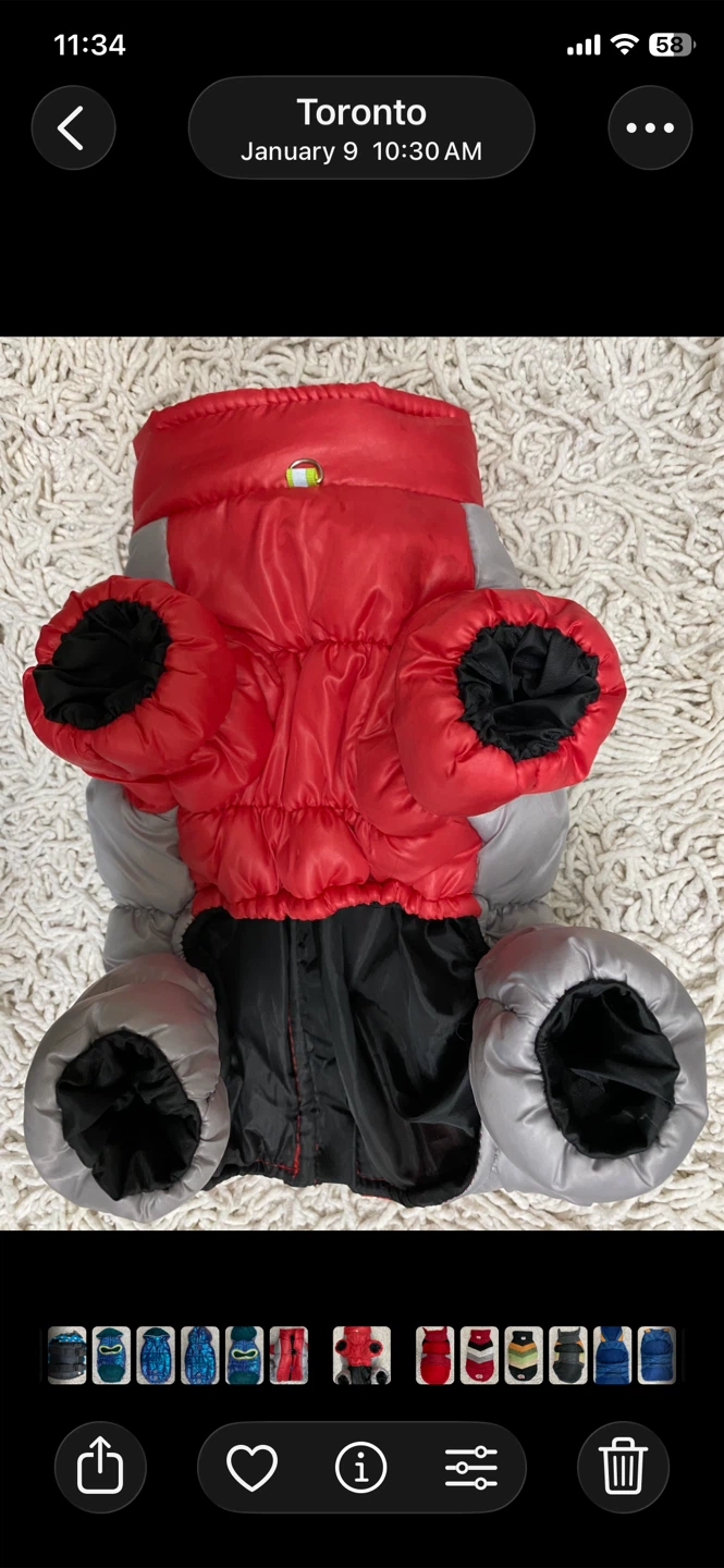 Dog Winter Jacket (XS)