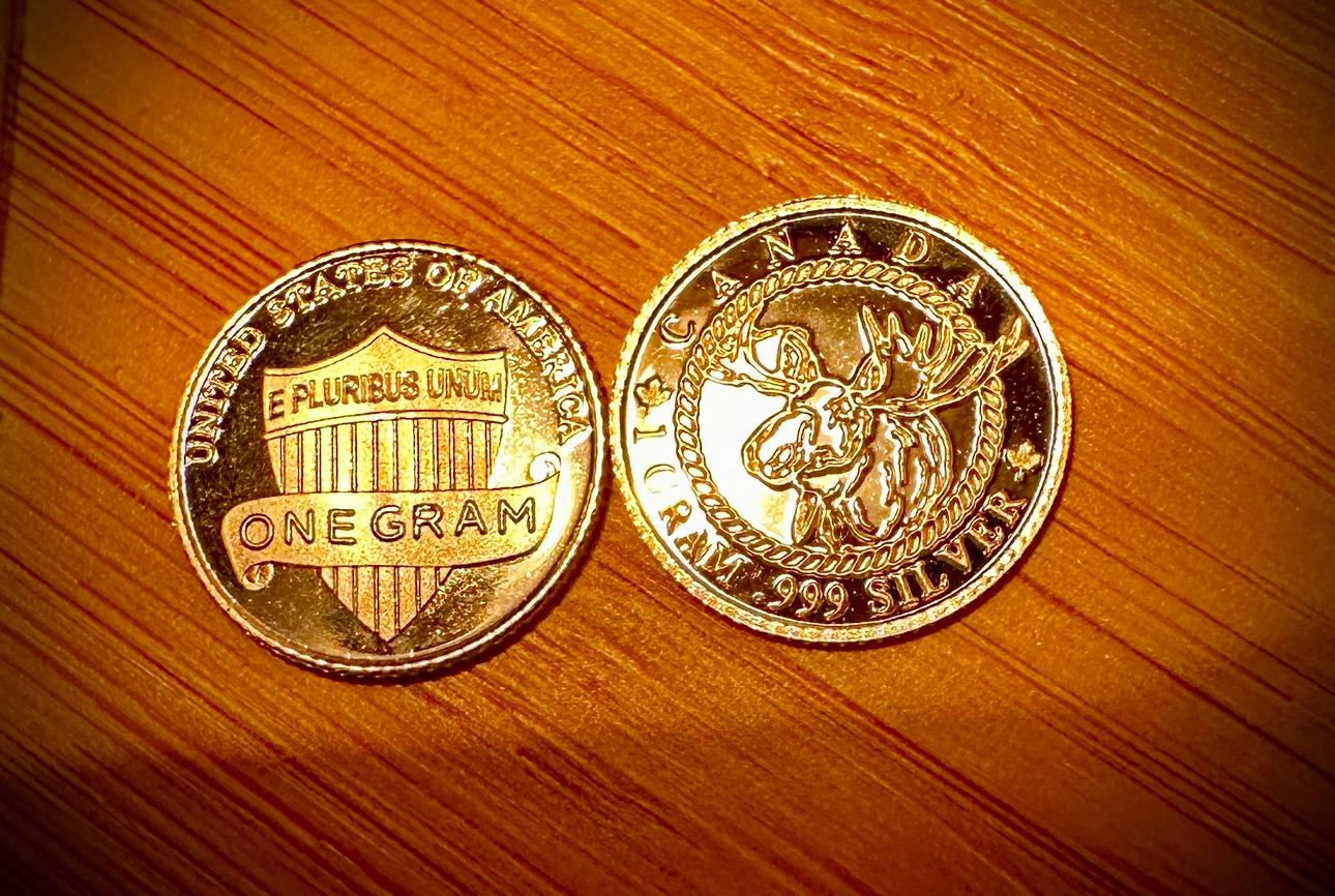 Two 1 Gram .999 Silver Rounds by Alpha Metals Exchange