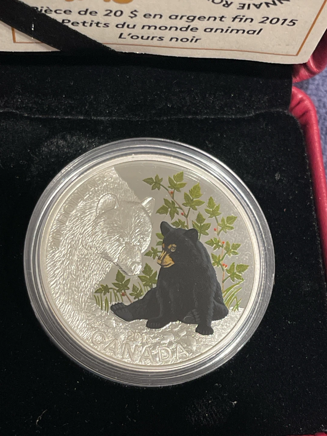 2015 $20 Fine Silver Coin - Baby Animals: Black Bear