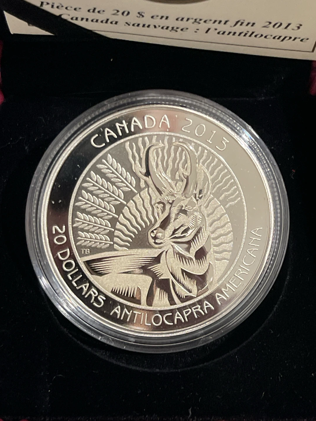 2013 $20 Fine Silver Coin - Untamed Canada: The Pronghorn