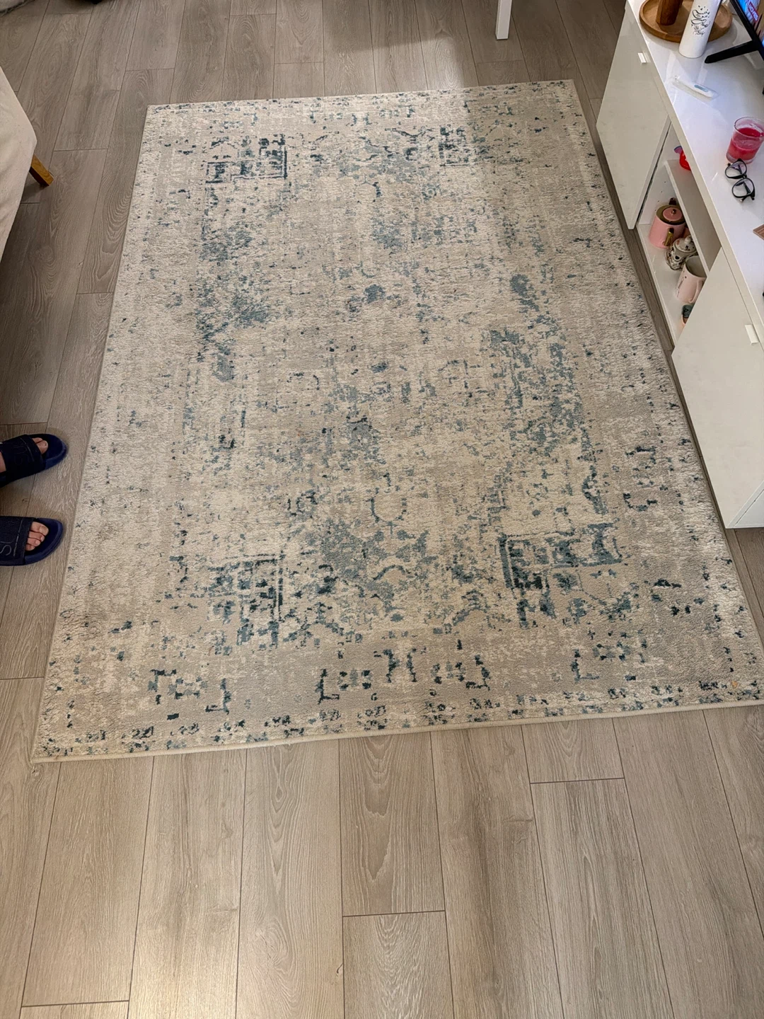 Distressed Pattern Area Rug