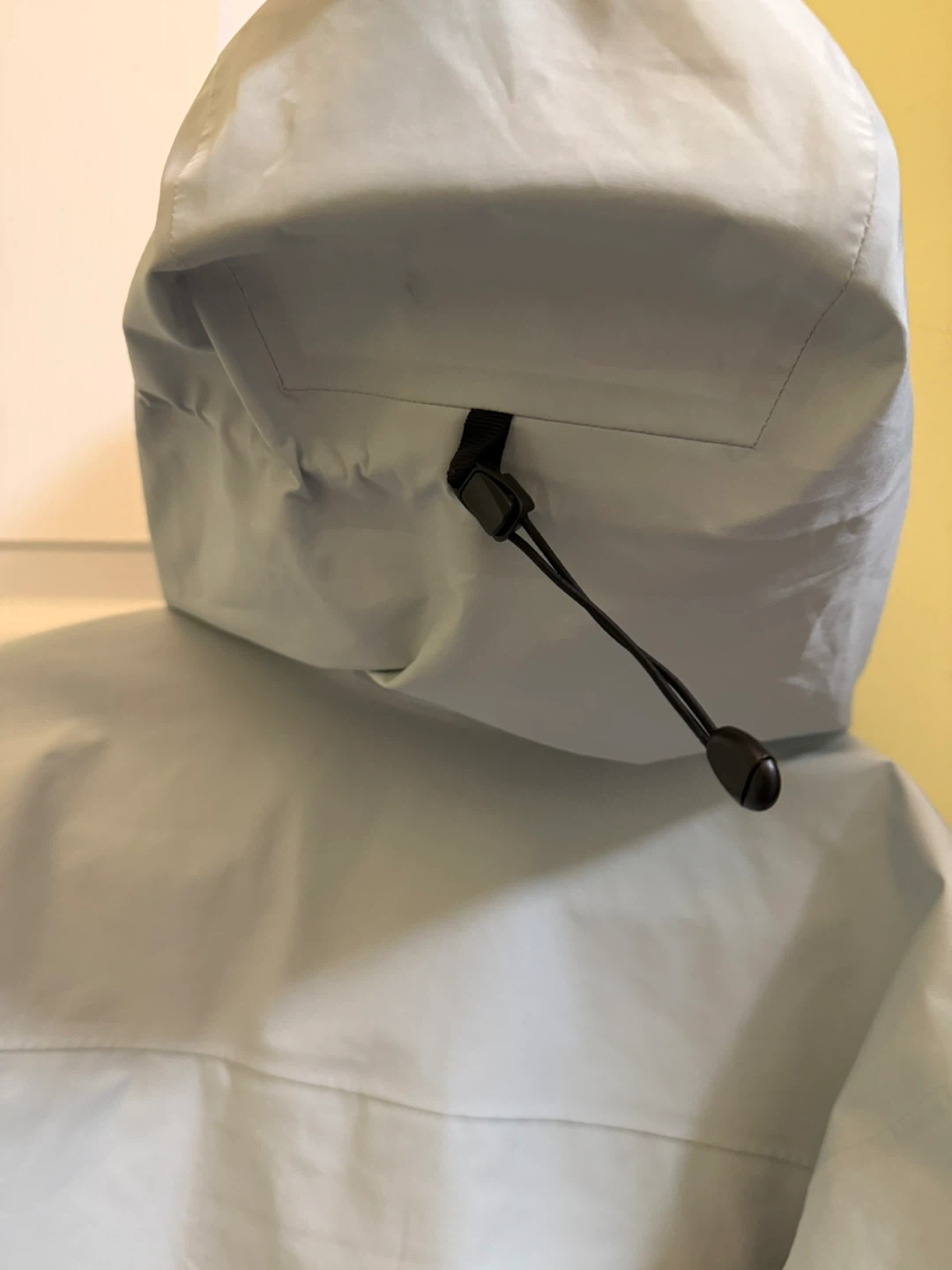 Arc'teryx Beta LT Jacket Ether / M - photo 4