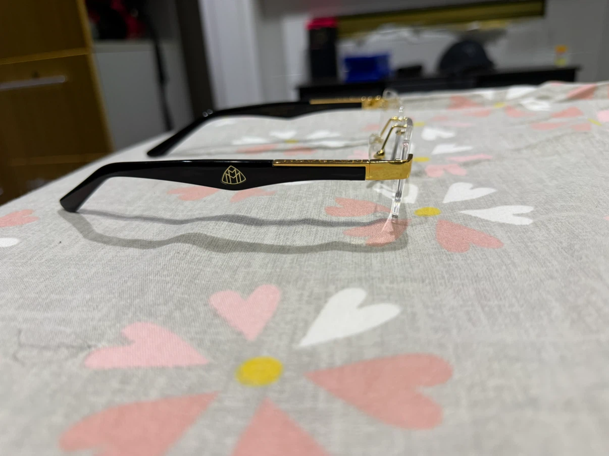 Maybach Glasses with Case - photo 5