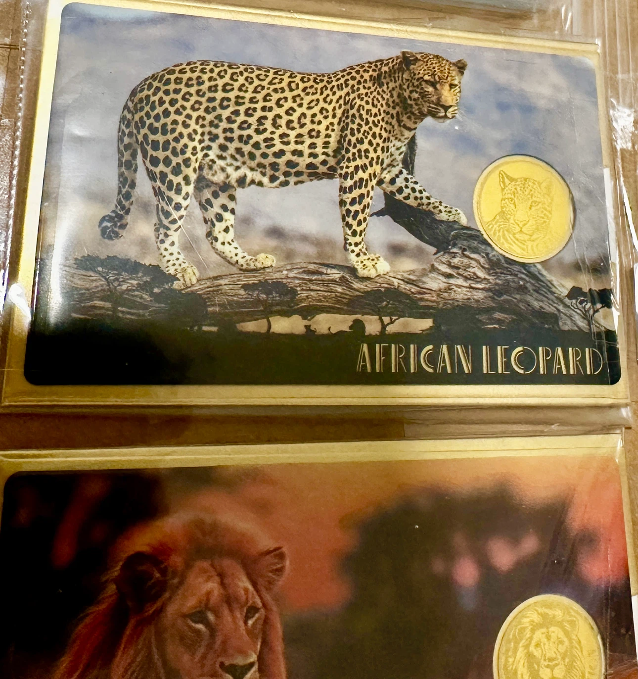 999 GOLD African Lion and Leopard Commemorative Coin Set - photo 2